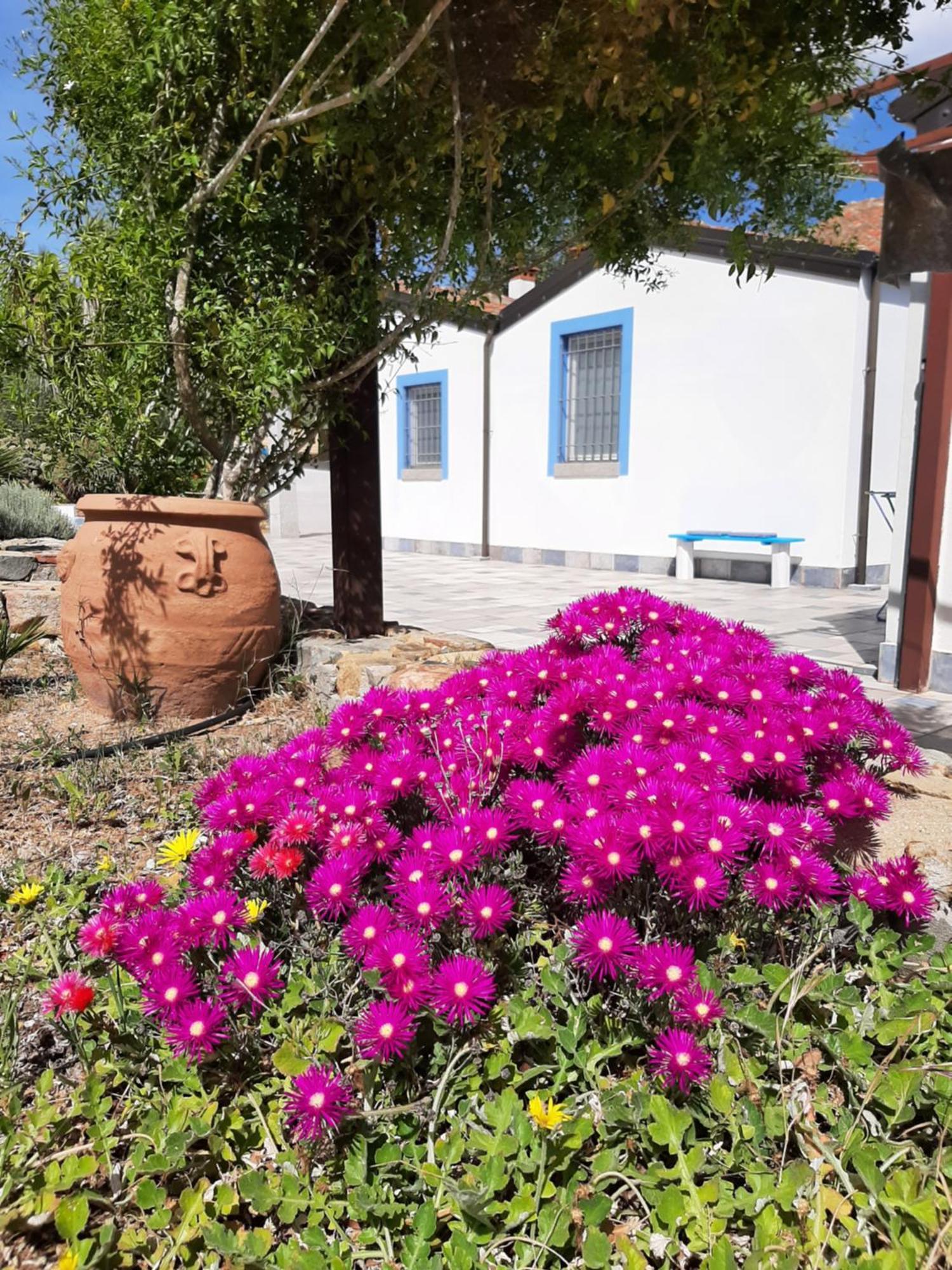 Casale Diletta Acomodação com café da manhã Castiadas Exterior foto